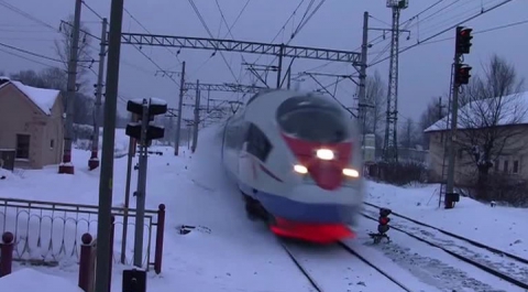 В Ленинградской области поезд задавил двух женщин