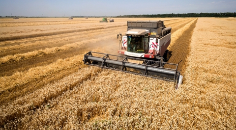 Россия потеснила Францию на африканском рынке пшеницы