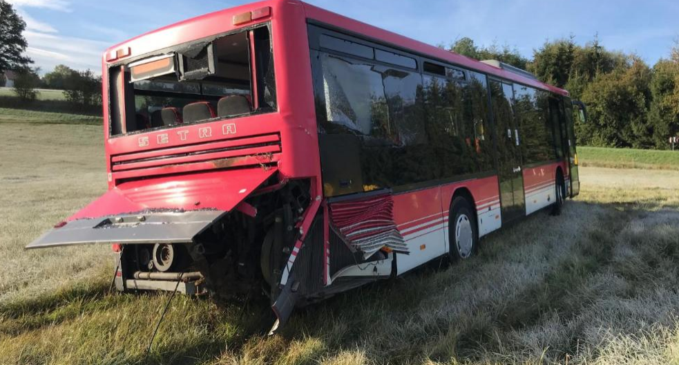 Автобус со школьниками попал в ДТП из-за выбежавшего на трассу зверя