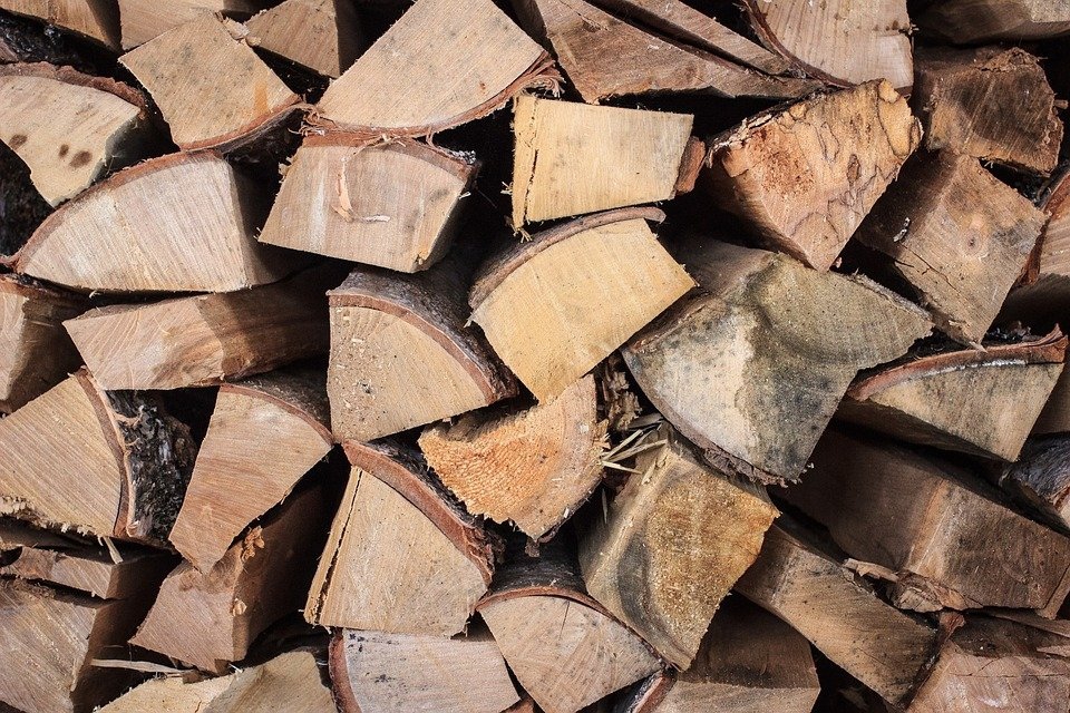 В России объем заготовки древесины вырос на 9%