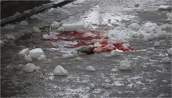 В Дятьково Брянской области упавшая с крыши глыба льда убила многодетную мать