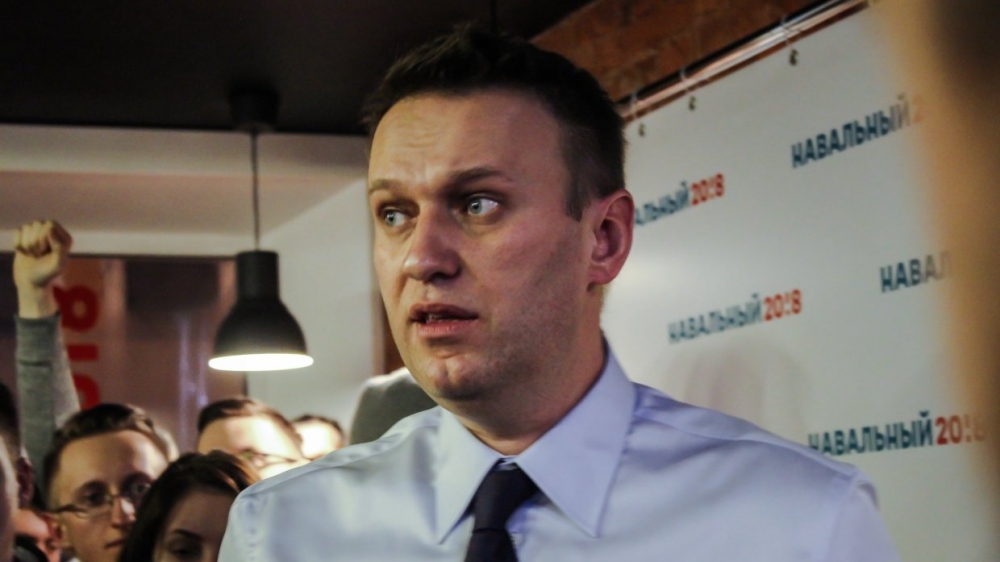 За варварство придется отвечать: в Госдуме напомнили, как по инициативе Навального у Петербурга украли газон
