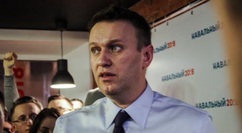 За варварство придется отвечать: в Госдуме напомнили, как по инициативе Навального у Петербурга украли газон