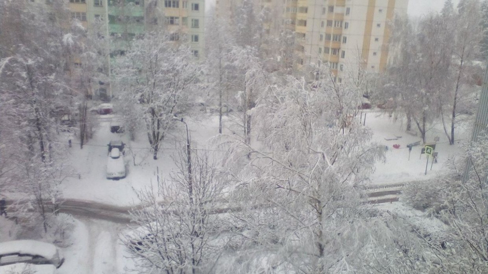 Синоптики предупредили москвичей о мощном снегопаде в середине следующей недели