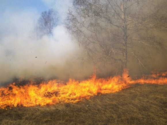 В Забайкалье до 14 выросло число пострадавших от степных пожаров