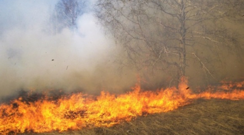 В Забайкалье до 14 выросло число пострадавших от степных пожаров