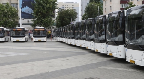 В Краснодар поступили 60 новых автобусов для Кубка конфедераций и ЧМ-2018