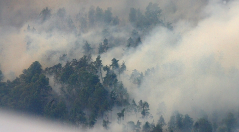 Число лесных пожаров в Забайкалье за выходные увеличилось втрое