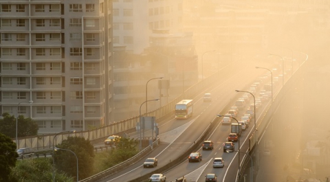 Загрязнение воздуха вредит здоровью на генетическом уровне
