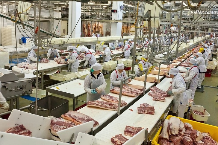 В России за 17 лет производство мясной продукции выросло в 6 раз