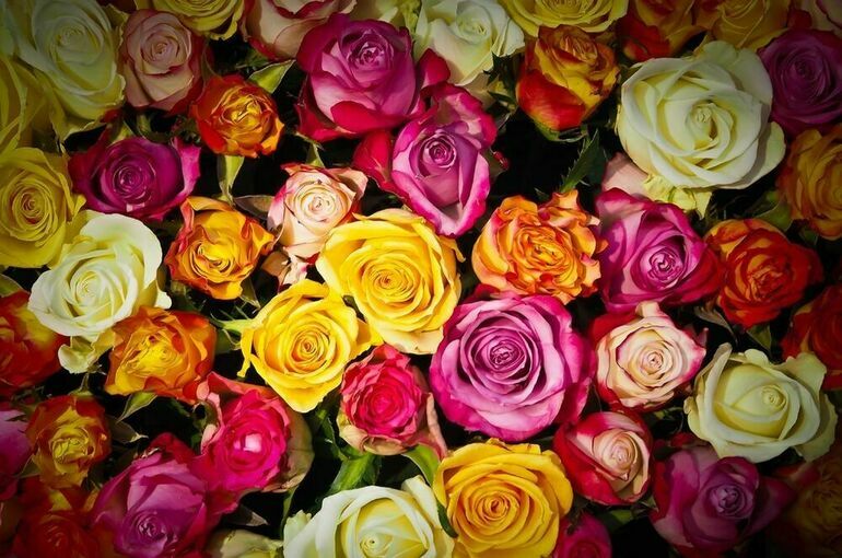 «Мир 24» назвал среднюю стоимость цветов на День знаний в СНГ