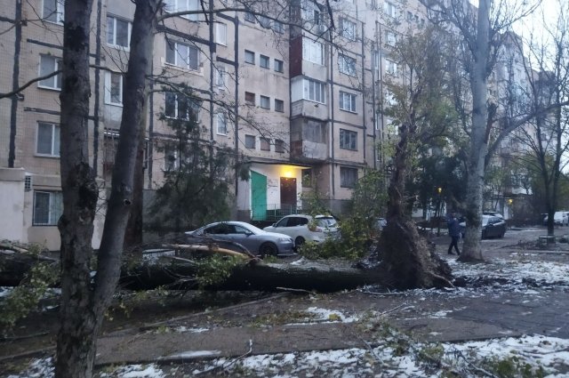В МЧС Крыма оценили предварительный ущерб от шторма в 490 млн рублей
