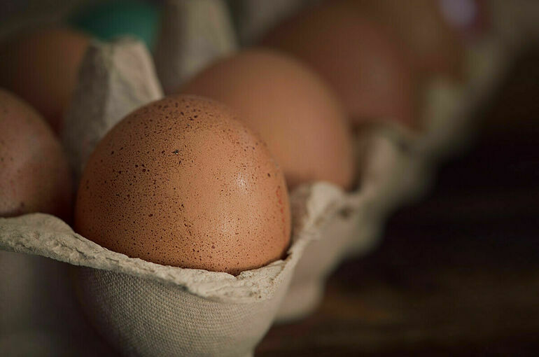 В России впервые за полгода подешевели куриные яйца
