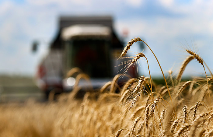 FT сообщила о планах ЕС ввести пошлину на импорт зерна из России
