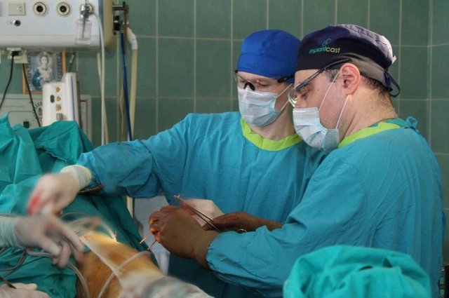 Ставропольские врачи извлекли восьмисантиметровую ветку из черепа пациентки