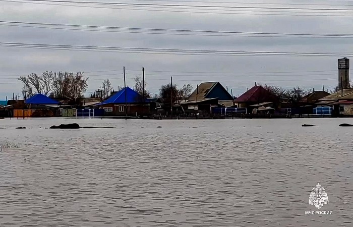 Почти 500 жилых домов подтоплено паводком на Алтае
