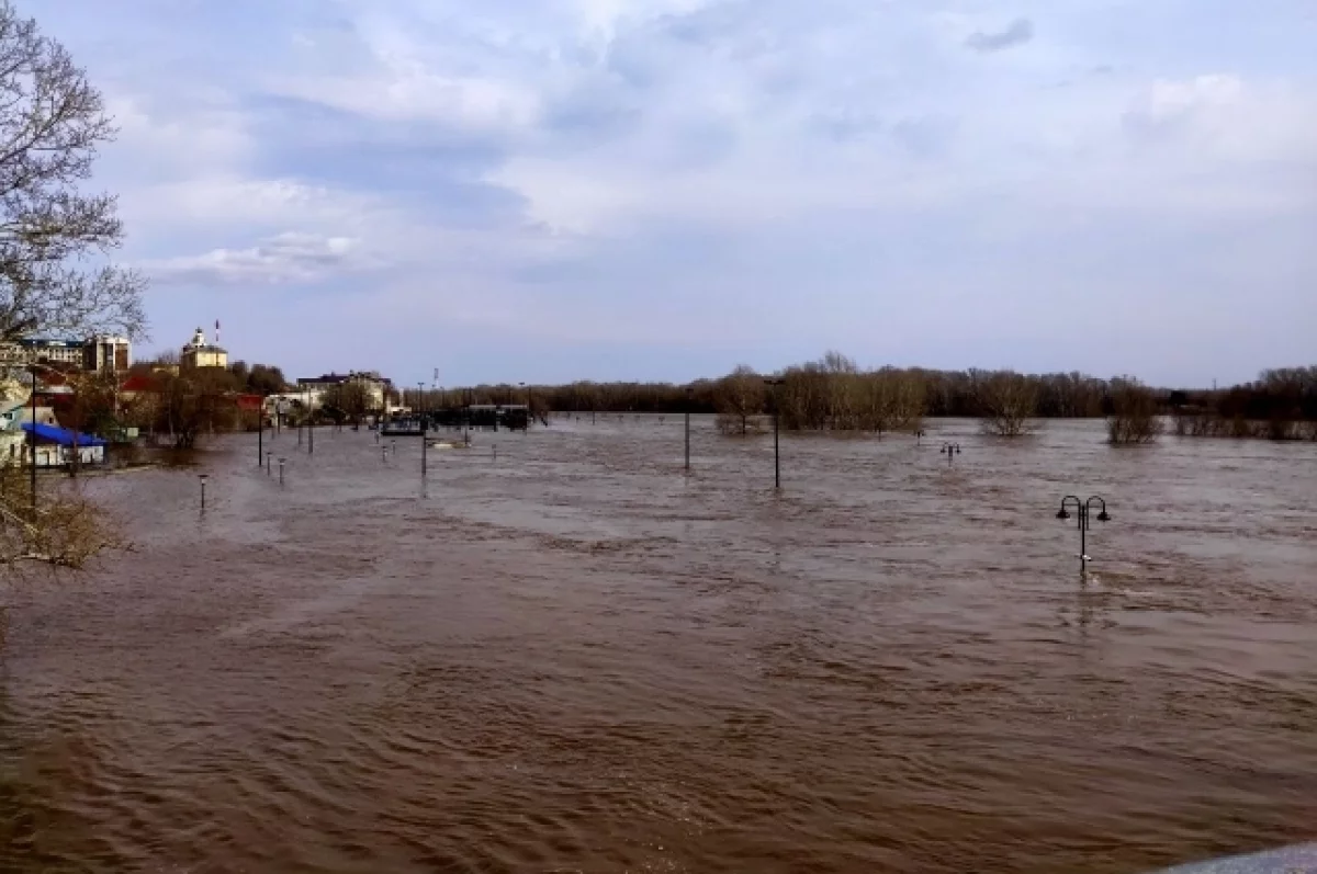 Более 700 домов освободились от воды на территории Оренбургской области