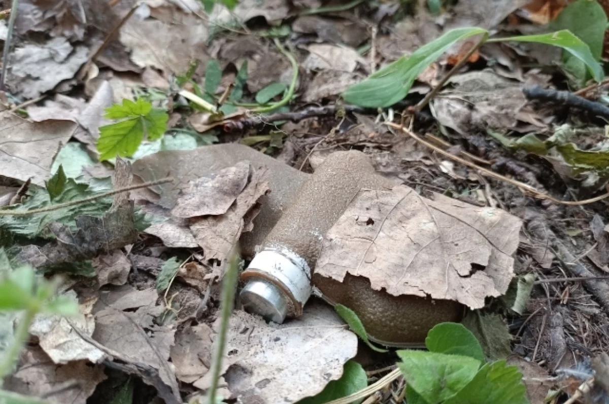 В Москве во дворе нашли похожий на мину «Лепесток» предмет