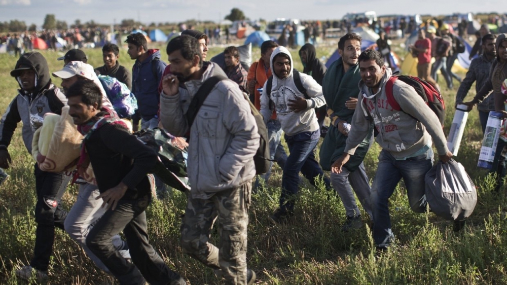 Власти Австрии сообщили об угрозе прорыва 20 тысяч вооруженных мигрантов в ЕС